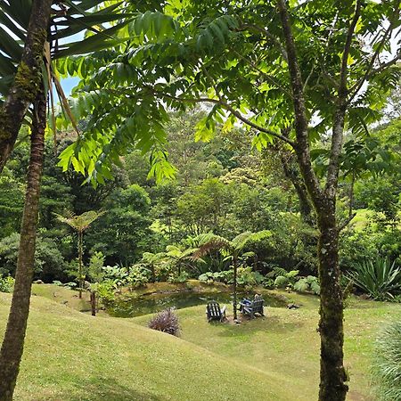 Monteverde Casa Mia, Near Main Attractions And Town! Екстер'єр фото