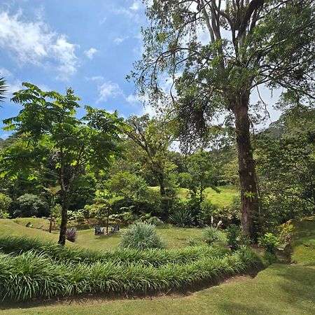 Monteverde Casa Mia, Near Main Attractions And Town! Екстер'єр фото
