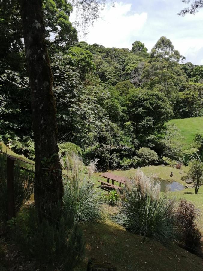 Monteverde Casa Mia, Near Main Attractions And Town! Екстер'єр фото