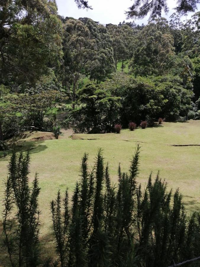 Monteverde Casa Mia, Near Main Attractions And Town! Екстер'єр фото