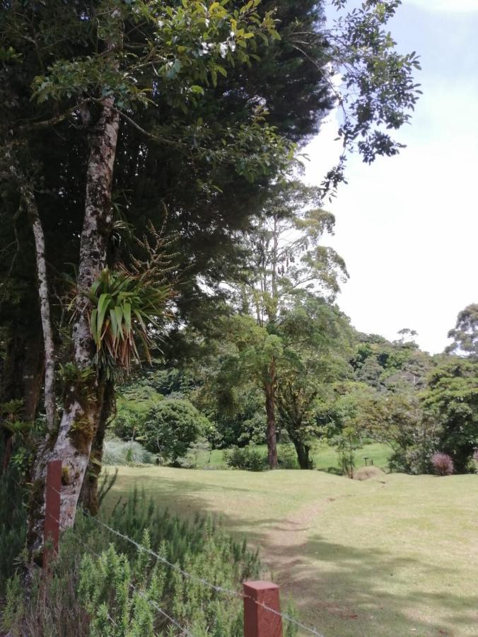 Monteverde Casa Mia, Near Main Attractions And Town! Екстер'єр фото
