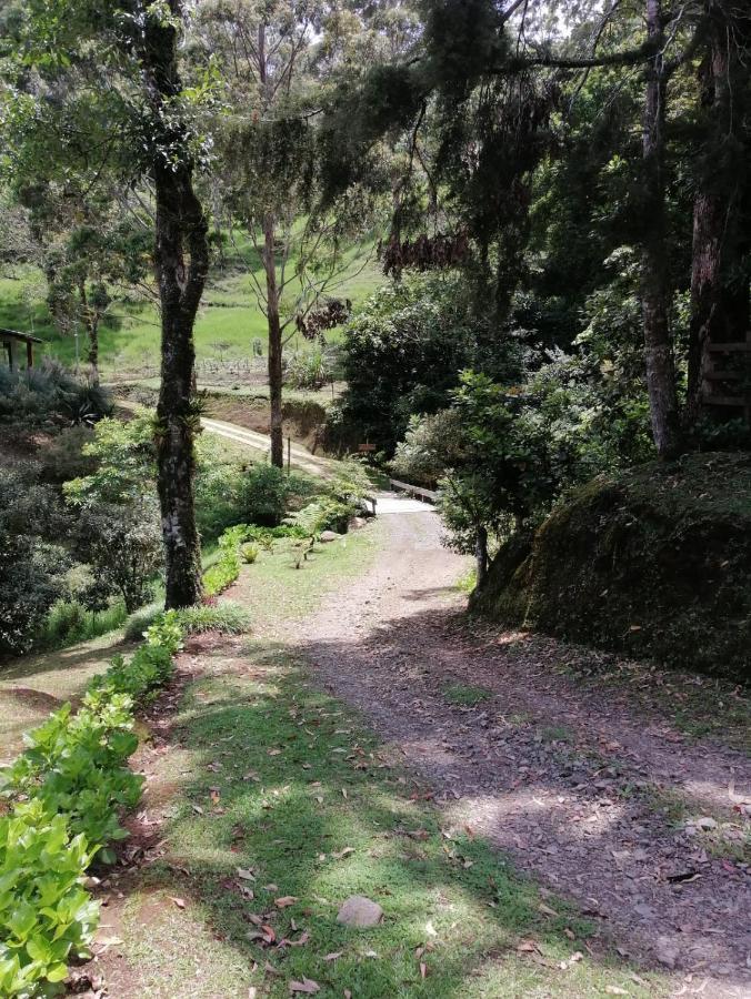 Monteverde Casa Mia, Near Main Attractions And Town! Екстер'єр фото
