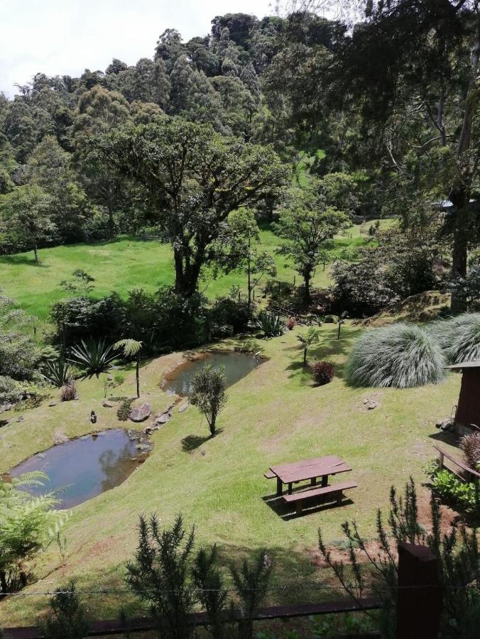 Monteverde Casa Mia, Near Main Attractions And Town! Екстер'єр фото