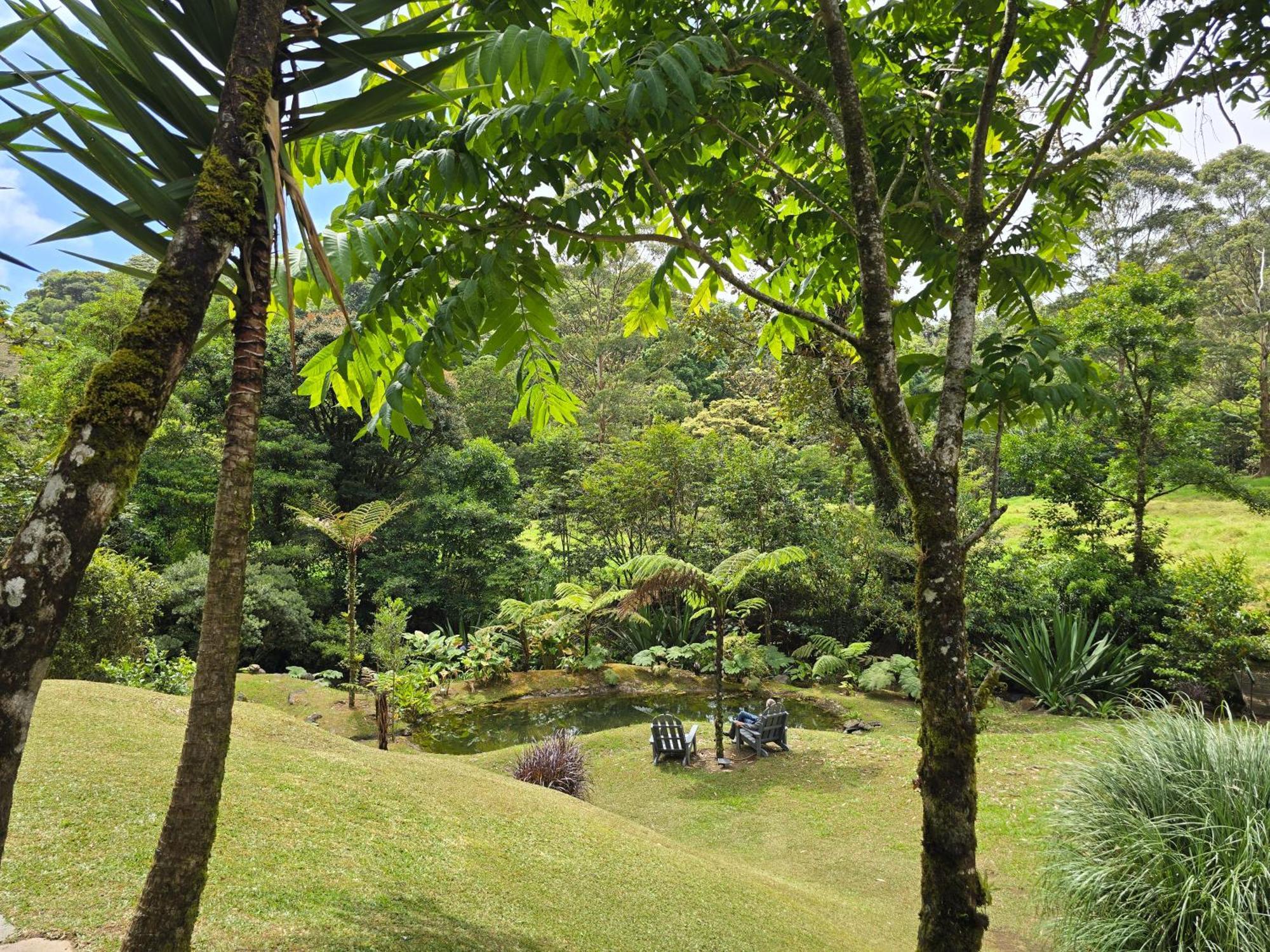 Monteverde Casa Mia, Near Main Attractions And Town! Екстер'єр фото