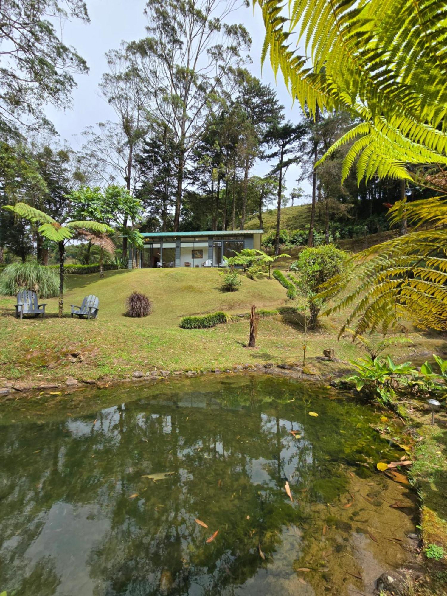 Monteverde Casa Mia, Near Main Attractions And Town! Екстер'єр фото