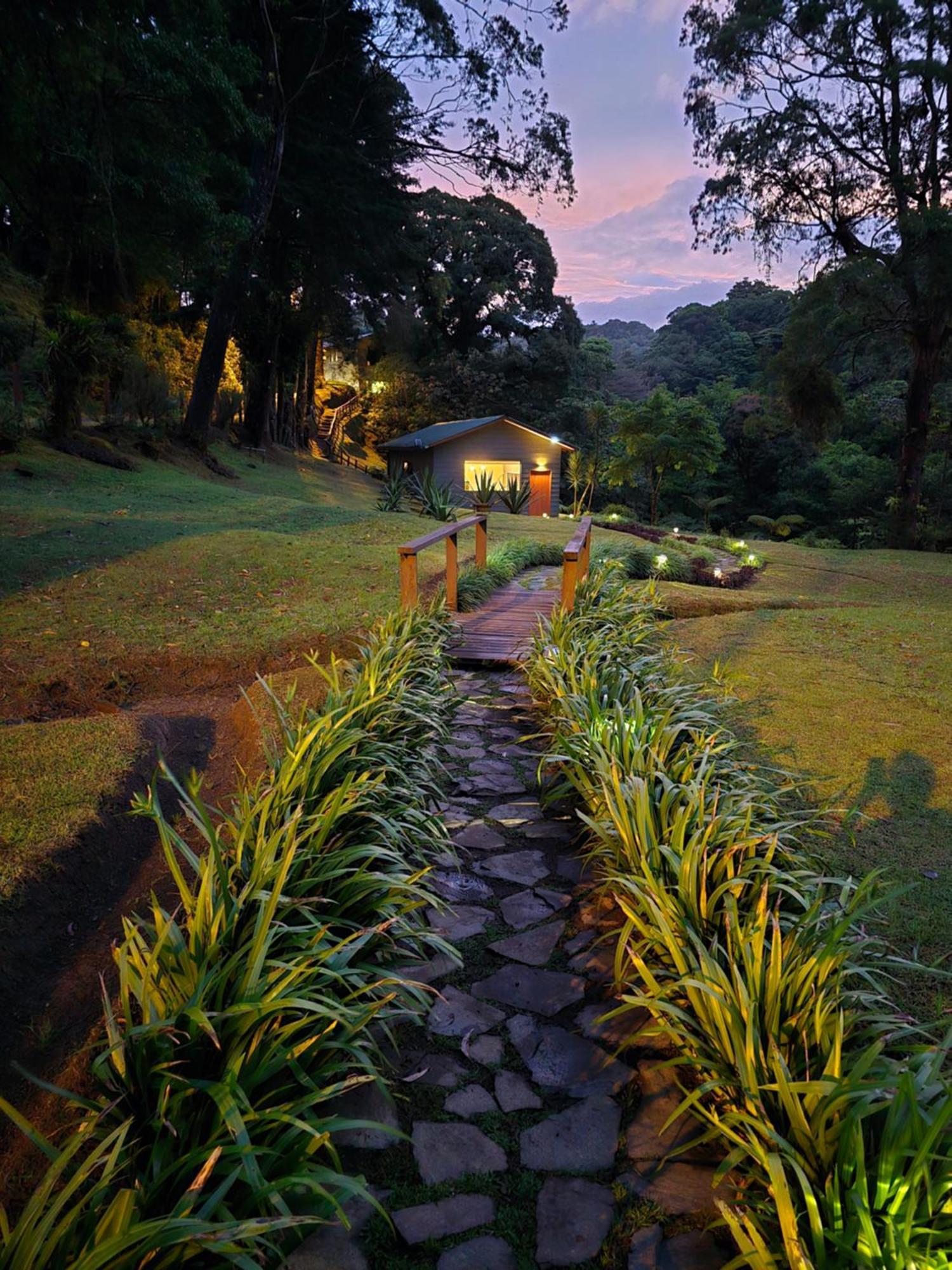 Monteverde Casa Mia, Near Main Attractions And Town! Екстер'єр фото
