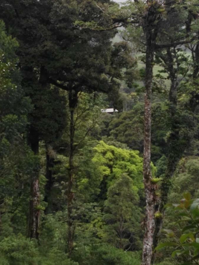 Monteverde Casa Mia, Near Main Attractions And Town! Екстер'єр фото