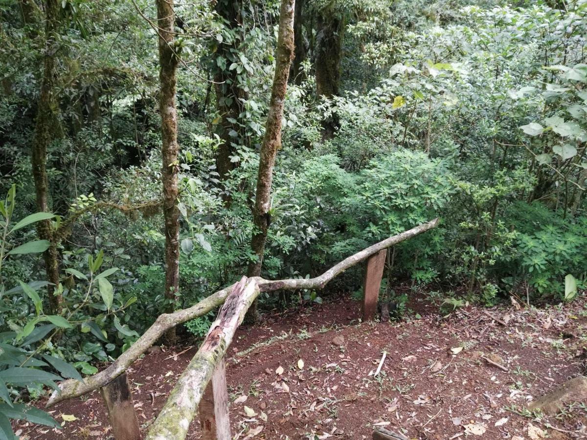Monteverde Casa Mia, Near Main Attractions And Town! Екстер'єр фото