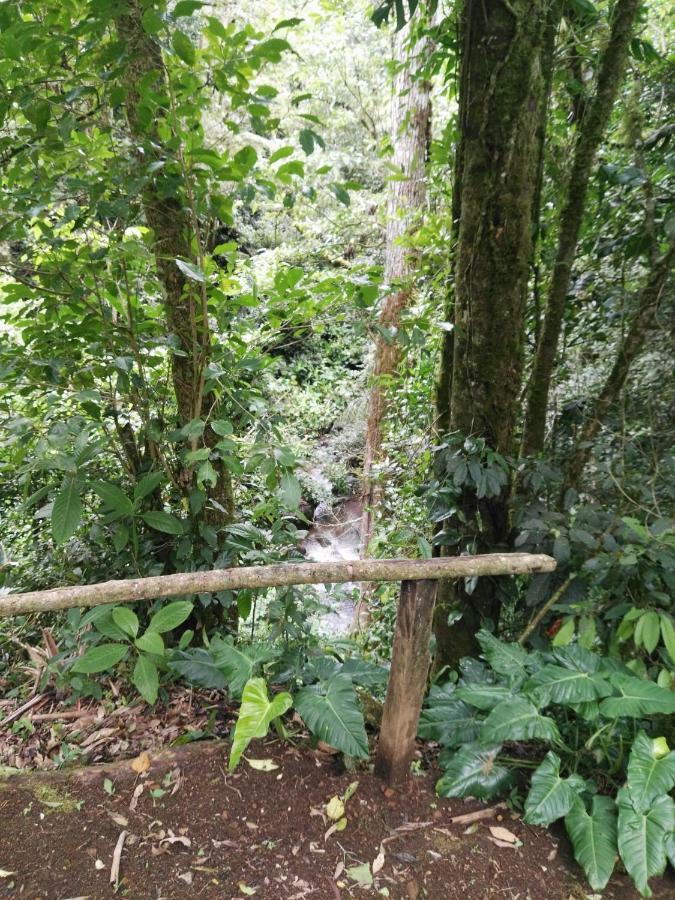 Monteverde Casa Mia, Near Main Attractions And Town! Екстер'єр фото