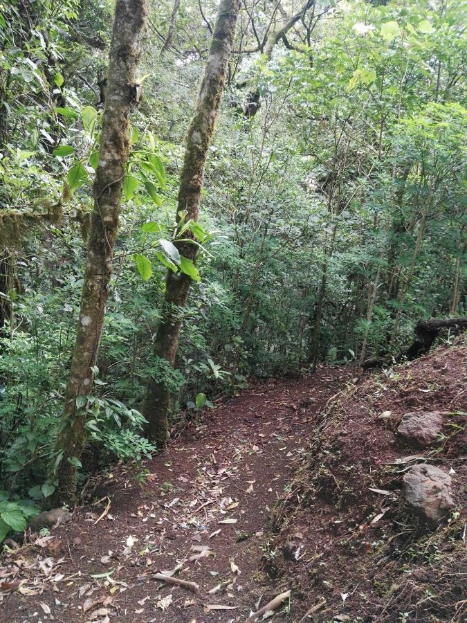 Monteverde Casa Mia, Near Main Attractions And Town! Екстер'єр фото